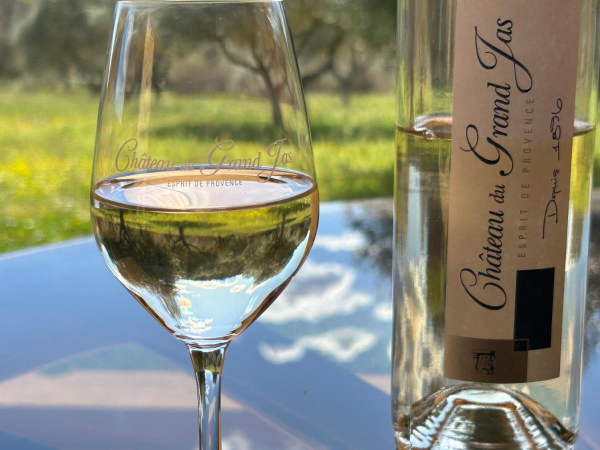 Chateau Du Grand Jas Entrecasteaux 외부 사진