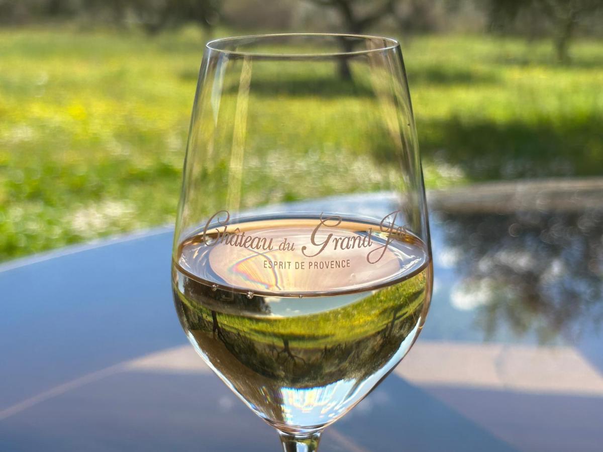 Chateau Du Grand Jas Entrecasteaux 외부 사진